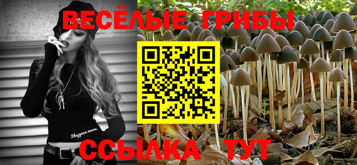 Псилоцибиновые грибы Magic Shrooms Ивантеевка